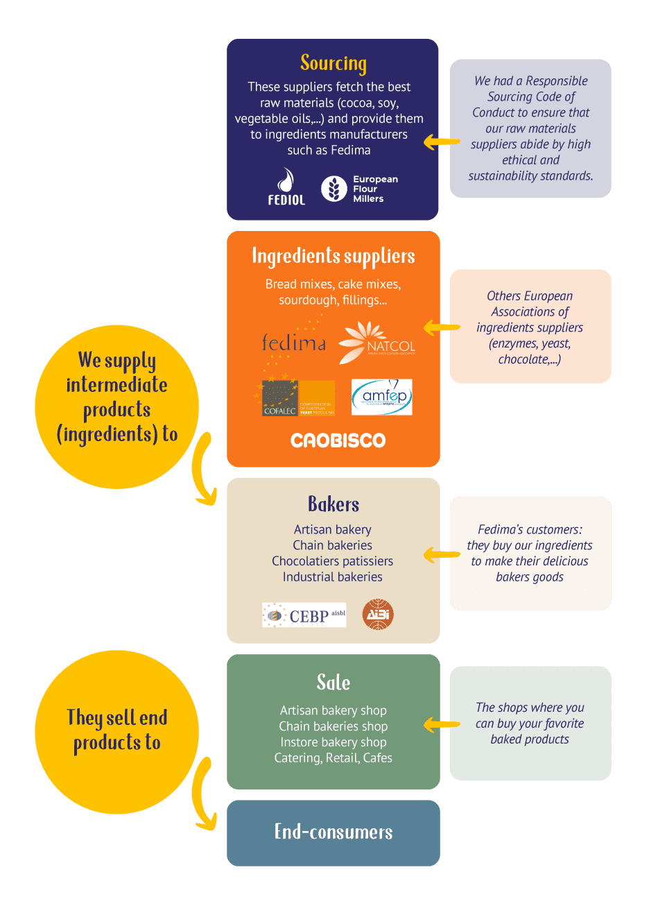 Fedima supply chain infographic